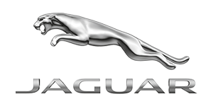 Jaguar Cary